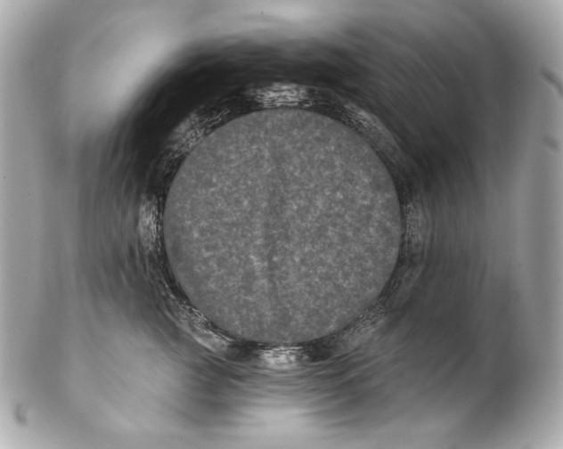 X0000102240761200808151753