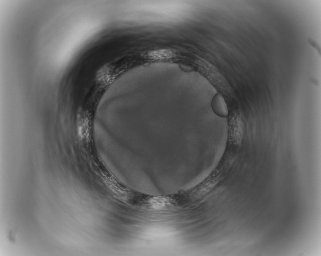 X0000102240762200808151753