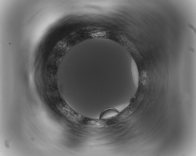 X0000102240763200808151753