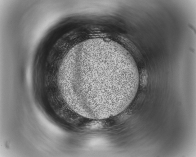 X0000102240764200808151753