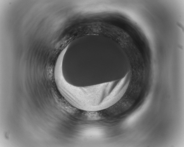 X0000102240767200808151753