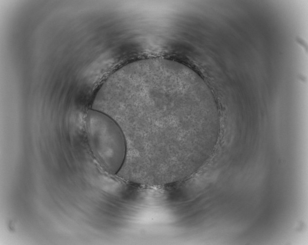 X0000102240768200808151753