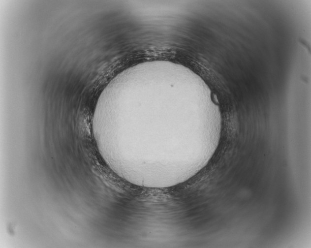 X0000102240770200808151753