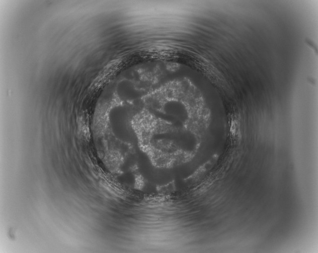 X0000102240771200808151753