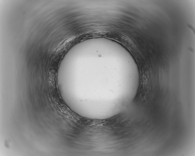 X0000102240773200808151753