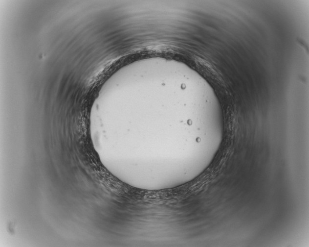 X0000102240776200808151752