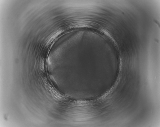 X0000102240777200808151752