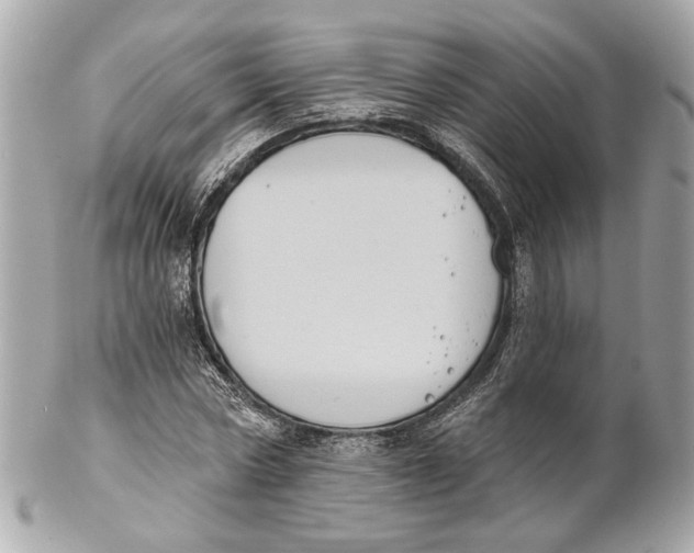 X0000102240778200808151752