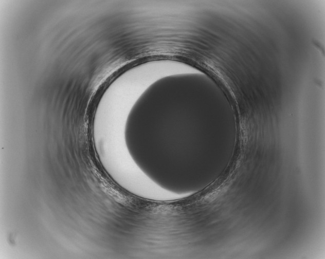 X0000102240779200808151752