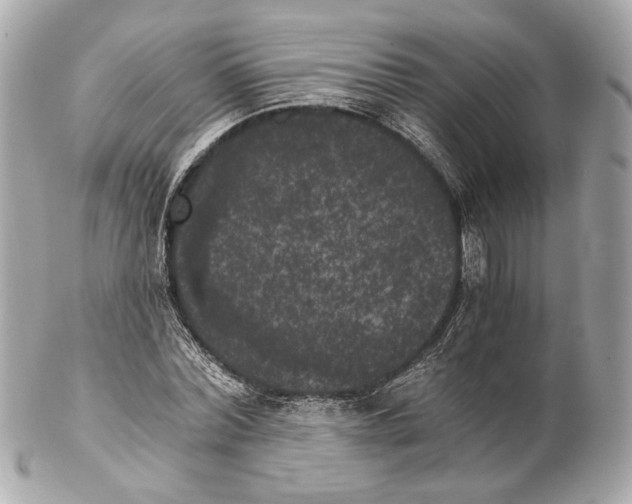 X0000102240780200808151752