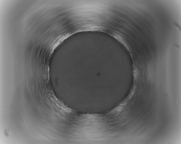 X0000102240781200808151752