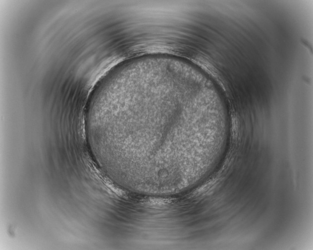 X0000102240782200808151752