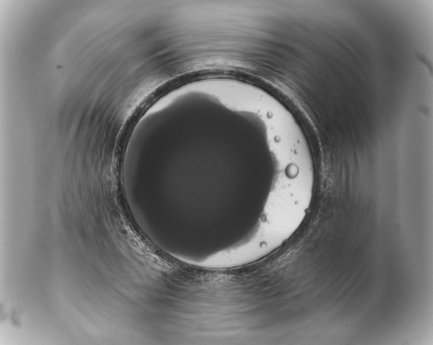 X0000102240783200808151752