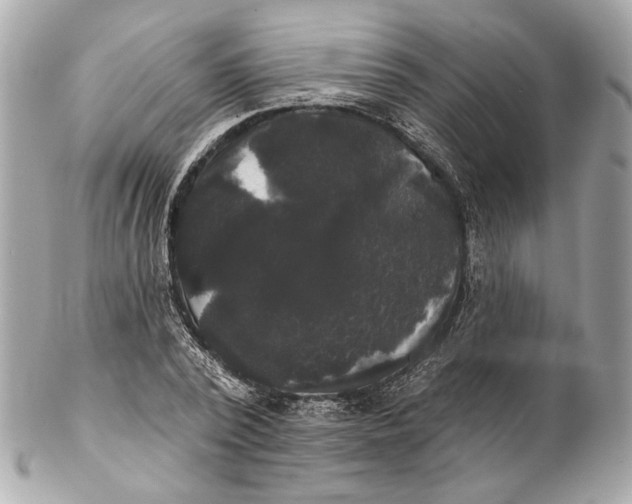 X0000102240784200808151752