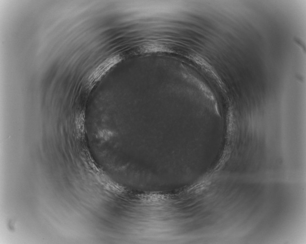 X0000102240785200808151752