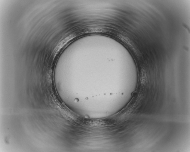 X0000102240786200808151752