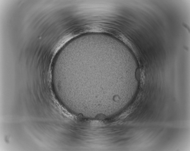 X0000102240787200808151752