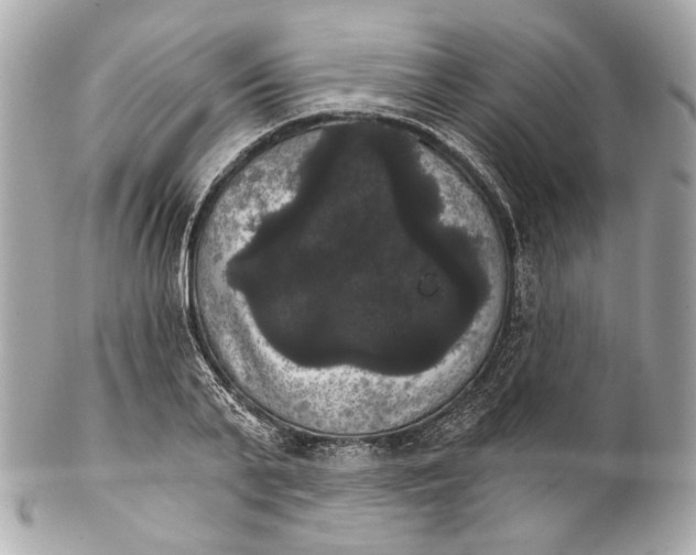 X0000102240791200808151752