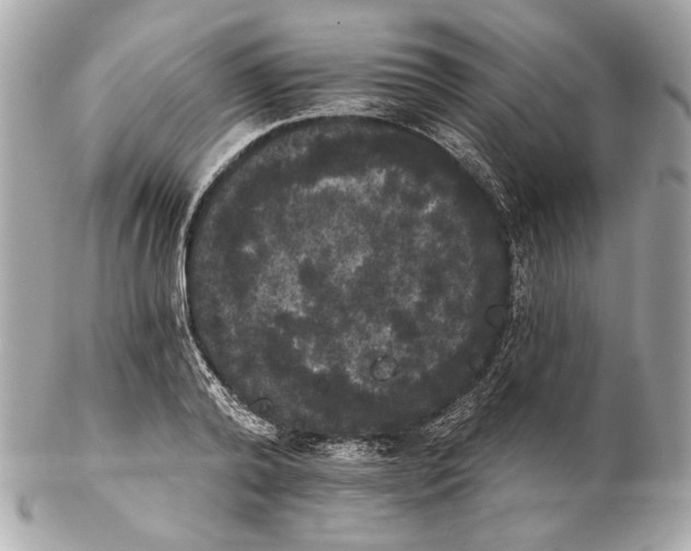 X0000102240792200808151752