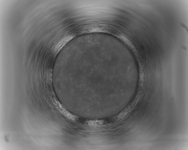 X0000102240793200808151752