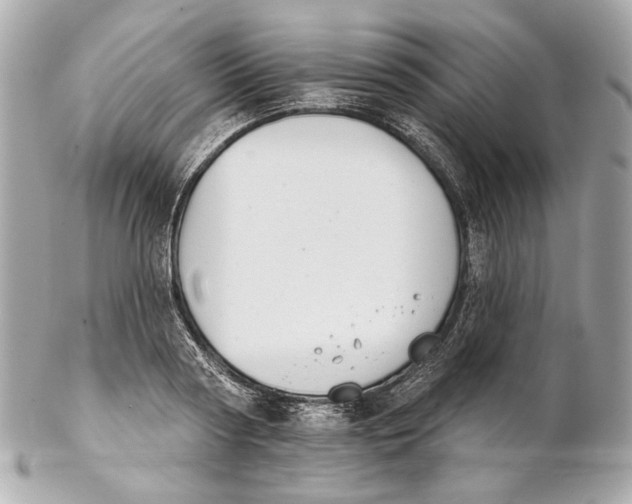 X0000102240794200808151752