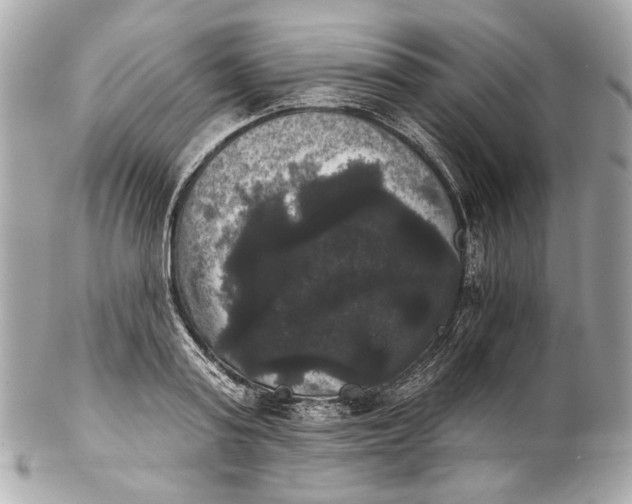 X0000102240795200808151752