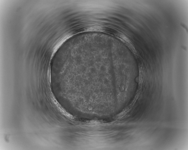 X0000102240796200808151752