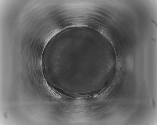 X0000102240797200808151752