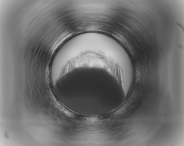 X0000102240798200808151752