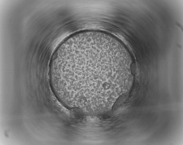 X0000102240799200808151752