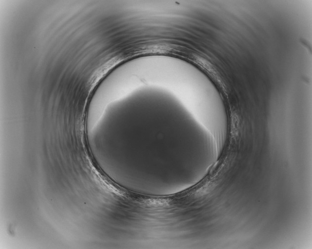 X0000102240802200808151752