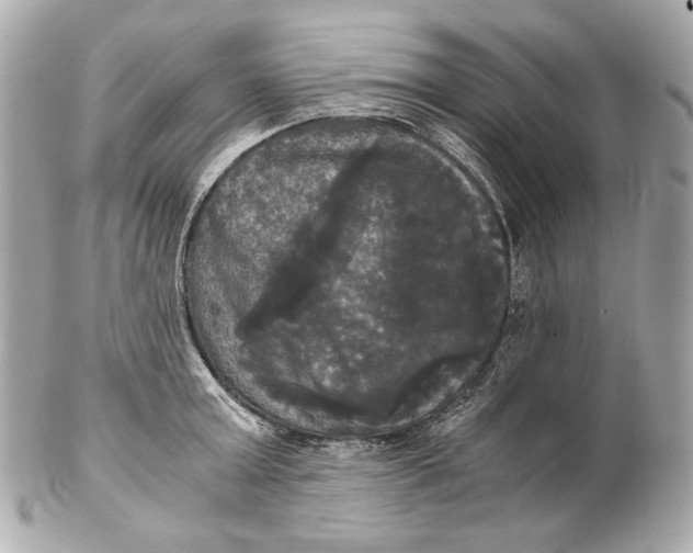 X0000102240803200808151752