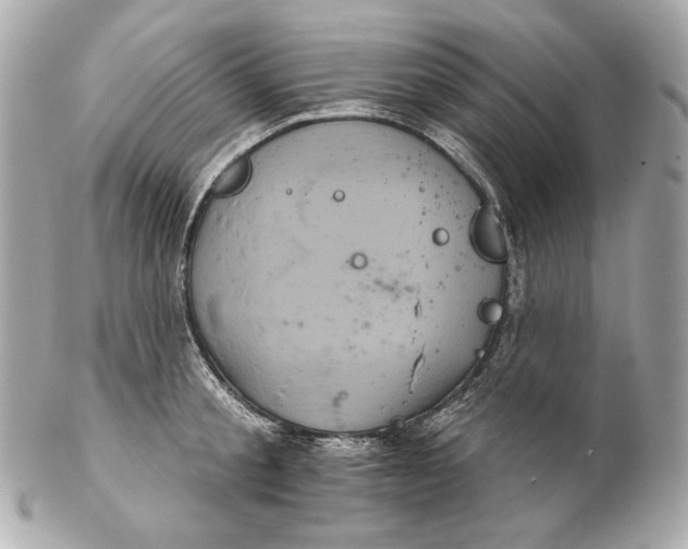 X0000102240805200808151752