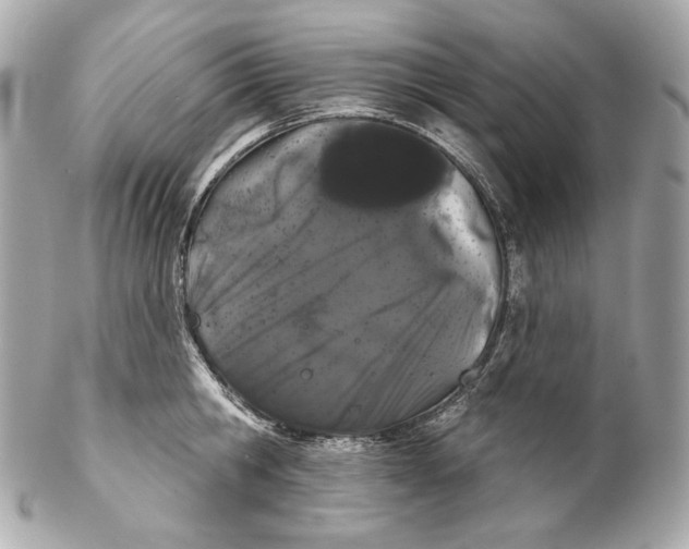 X0000102240806200808151752