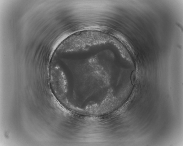 X0000102240808200808151752