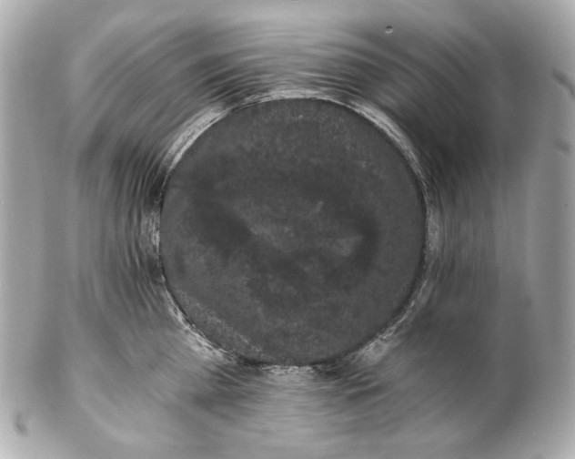 X0000102240809200808151752