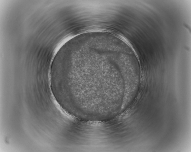 X0000102240811200808151752