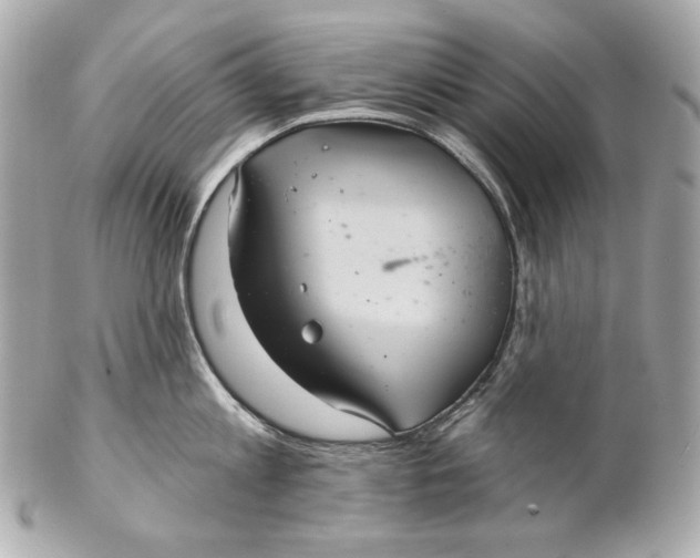 X0000102240813200808151752