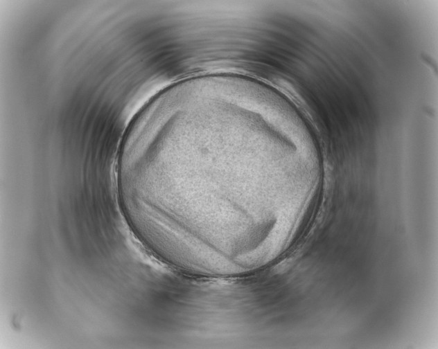 X0000102240814200808151752