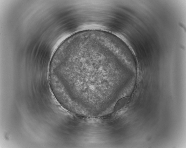 X0000102240815200808151752