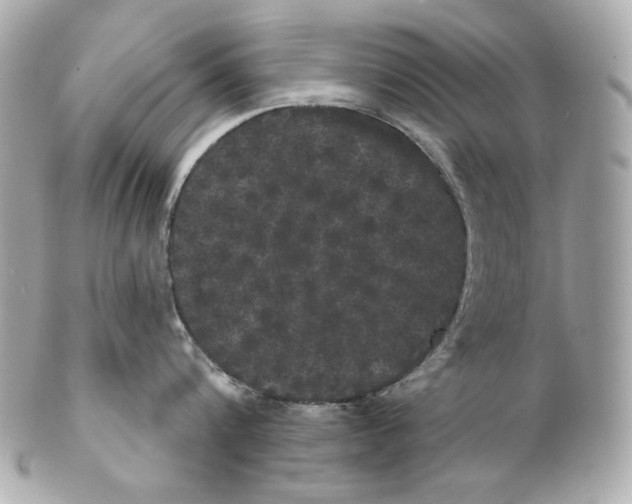 X0000102240816200808151752