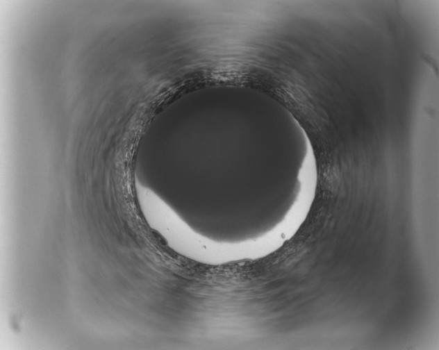 X0000102240817200808151751