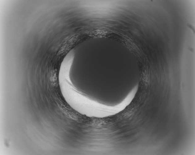 X0000102240818200808151751