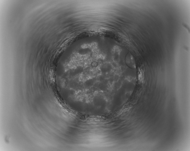 X0000102240819200808151751