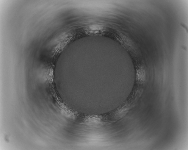 X0000102240820200808151751