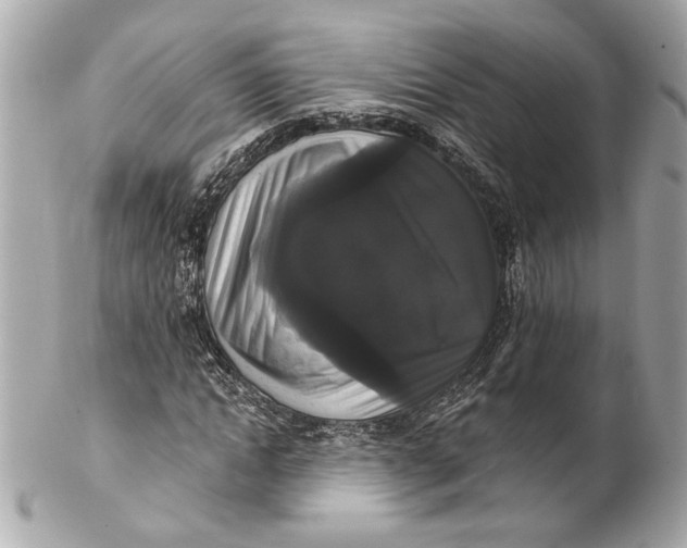 X0000102240822200808151751