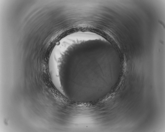 X0000102240823200808151751