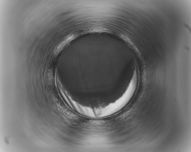 X0000102240825200808151751