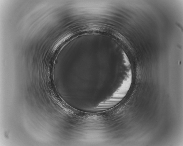 X0000102240826200808151751