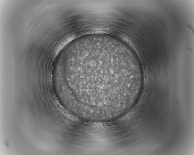 X0000102240827200808151751